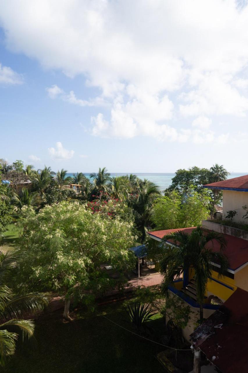 Casa Bonita And Appartement